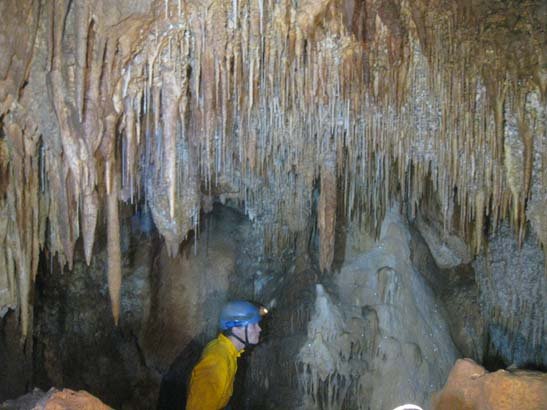 Just a few stalactites? Photo from Exponential Pot by Topaz Aral