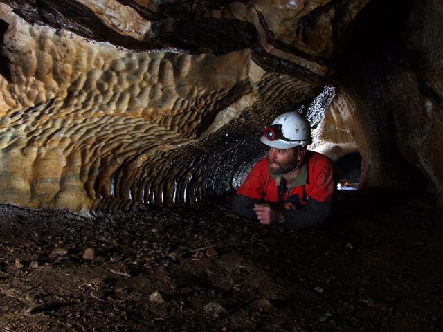 Caver in scalloped passage in Sheehans Cave, Limestone Creek. Photo by Garry Smith.