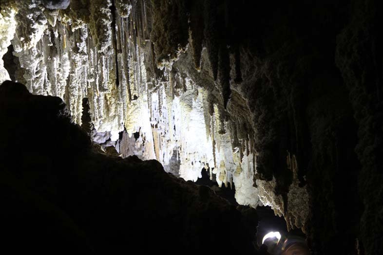 Decoration in Davies Cave, Bats Ridge. Photograph by Topaz Aral