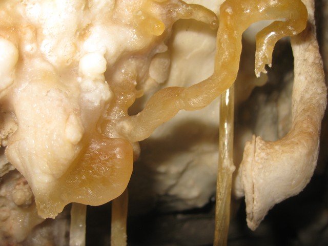 Caving photo from Victoria, Australia